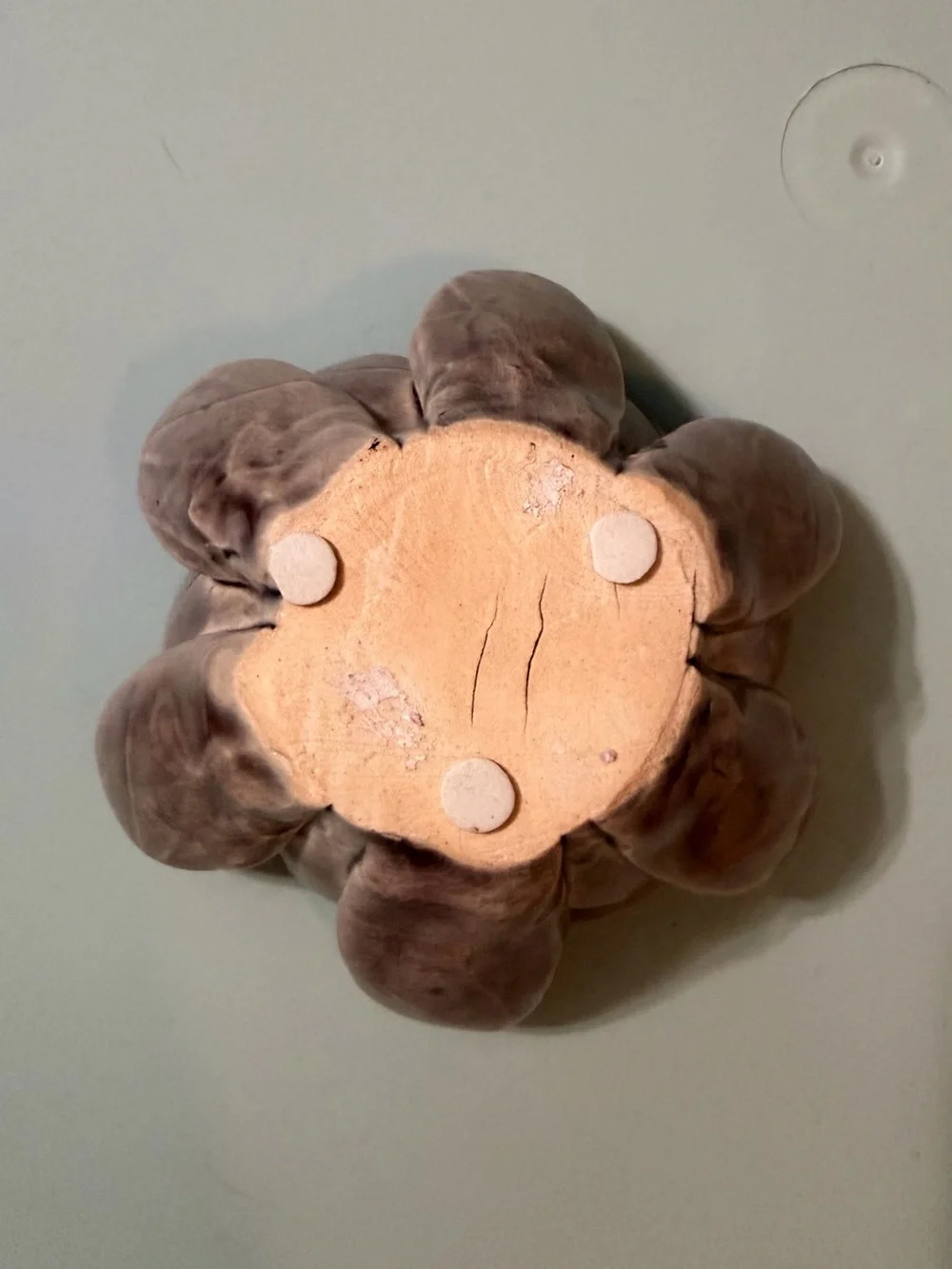 Decorative Ceramic Succulent Accent in Blush Pink